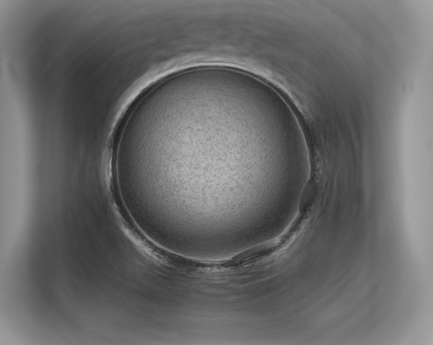 X0000113311511200909211131