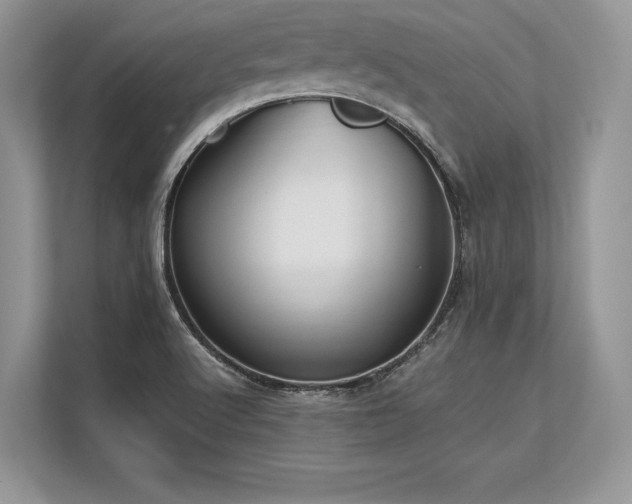 X0000113311512200909211131