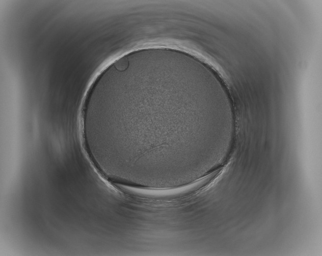 X0000113311517200909211131