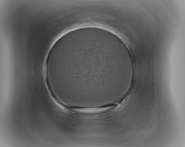 X0000113311519200909211131