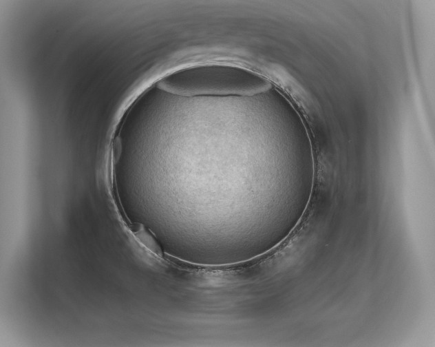 X0000113311520200909211131