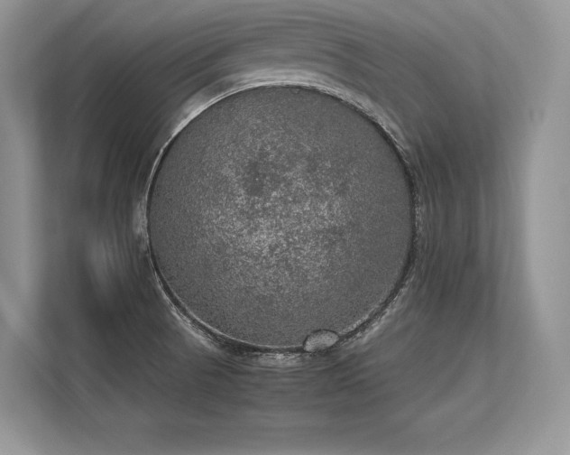 X0000113311521200909211131