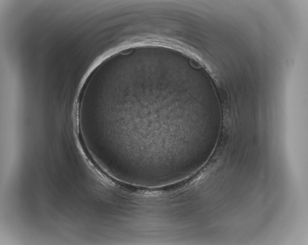 X0000113311522200909211131