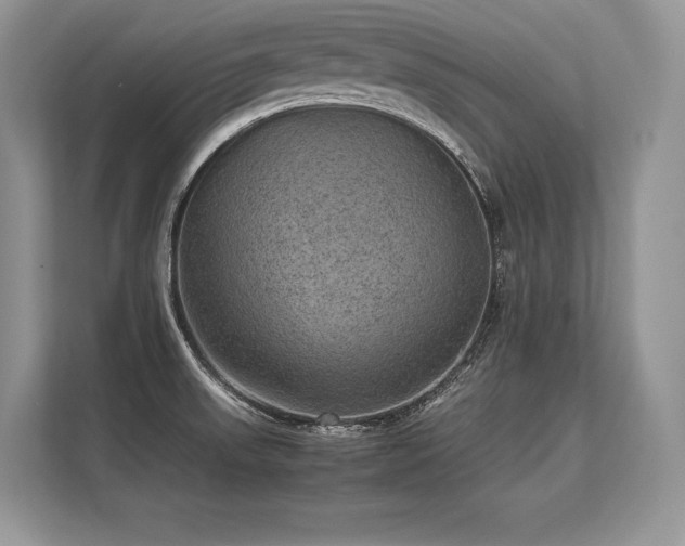 X0000113311523200909211131