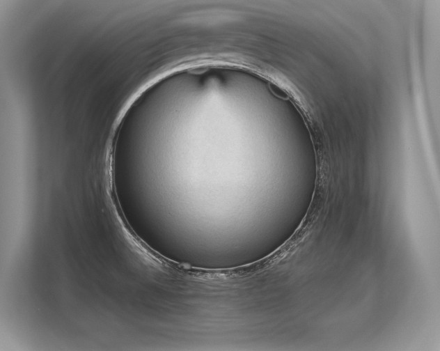 X0000113311524200909211131