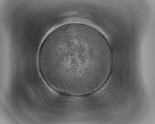 X0000113311525200909211131