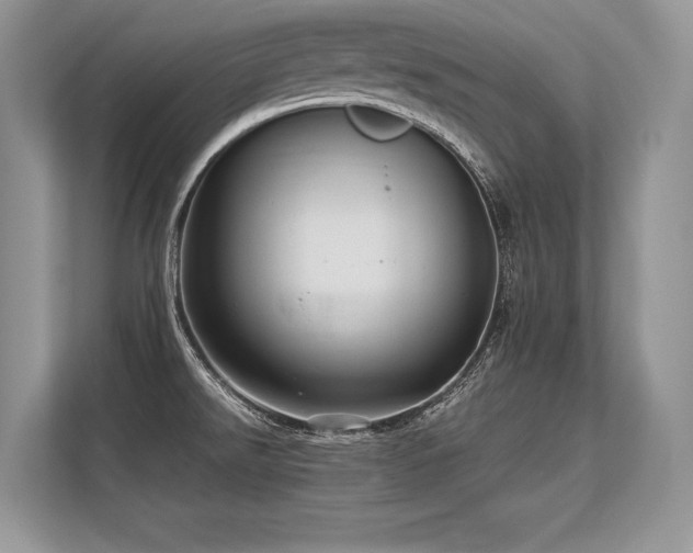 X0000113311526200909211131