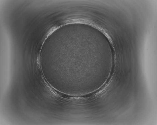 X0000113311529200909211131