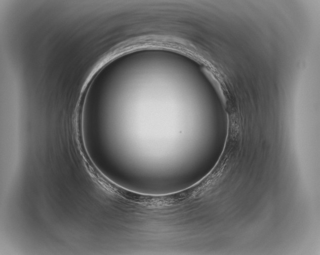 X0000113311530200909211131