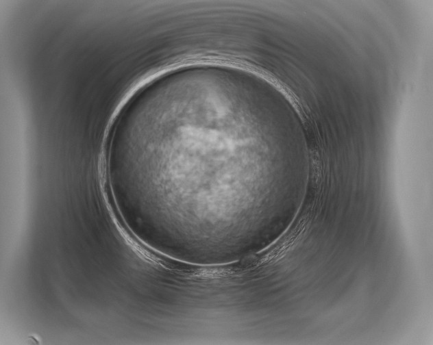 X0000113311531200909211131