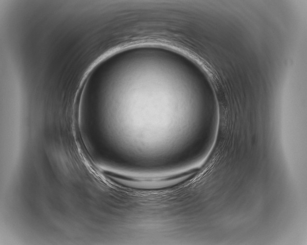 X0000113311534200909211131