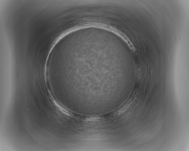 X0000113311535200909211131