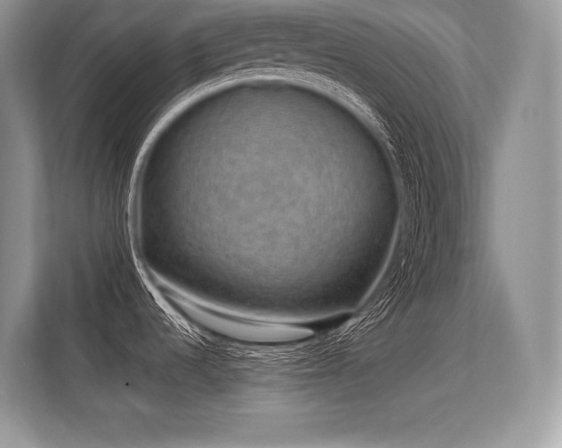 X0000113311536200909211131