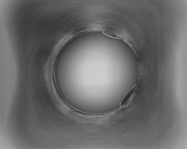 X0000113310001200909281134