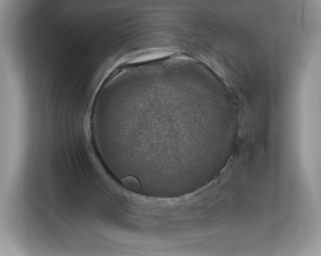 X0000113310002200909281134