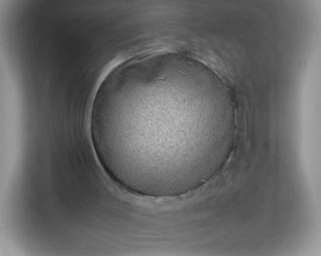 X0000113310003200909281134