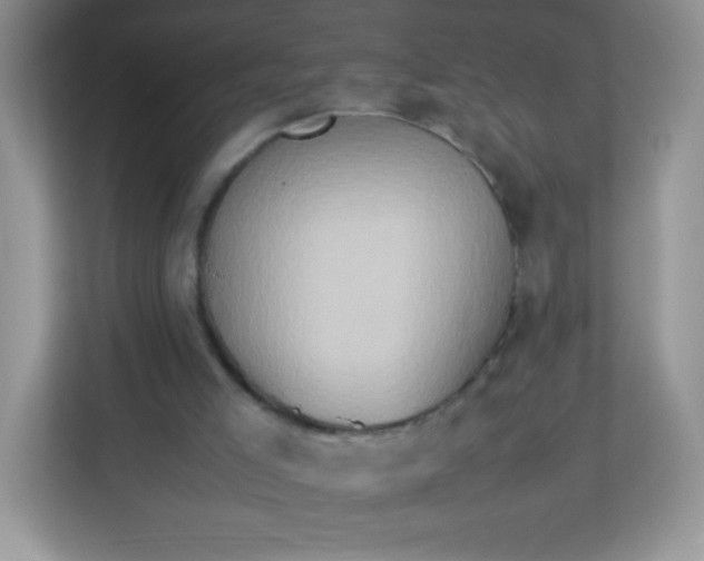 X0000113310005200909281134