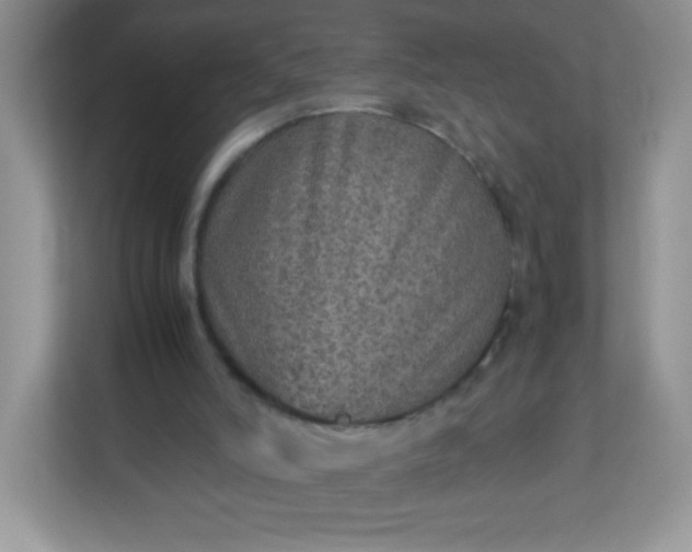 X0000113310006200909281134