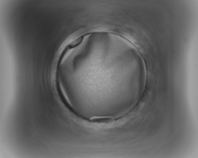 X0000113310007200909281134