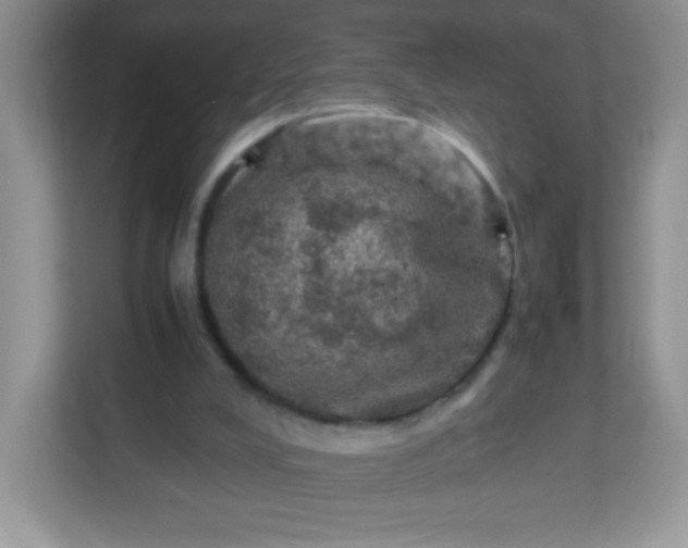 X0000113310008200909281134