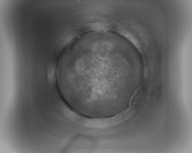 X0000113310009200909281134