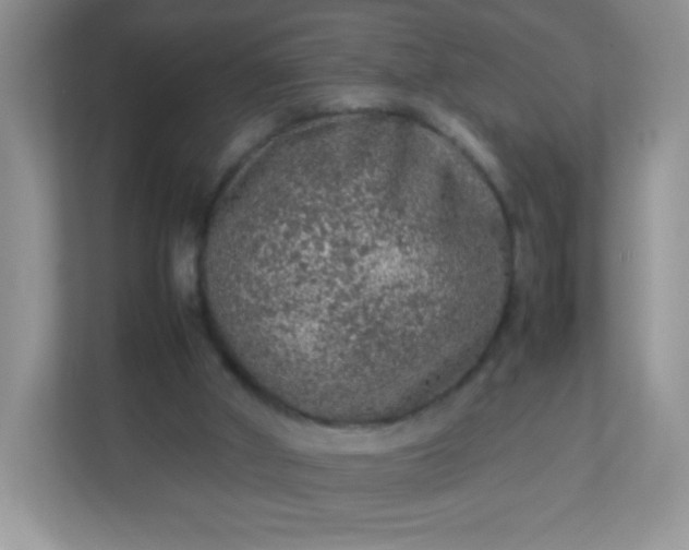 X0000113310010200909281134