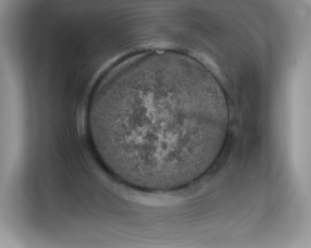 X0000113310012200909281134