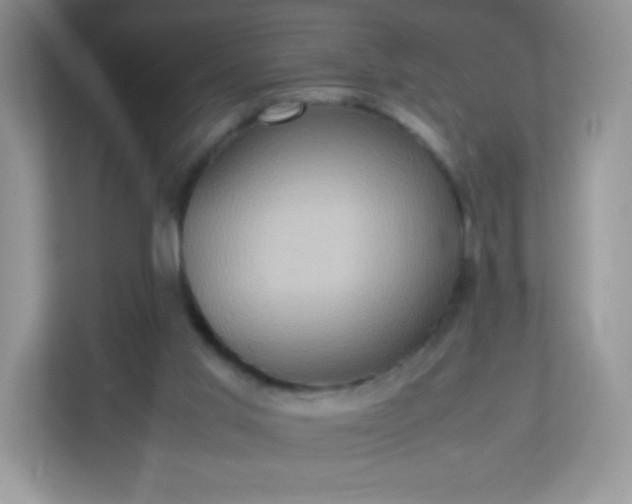 X0000113310013200909281134