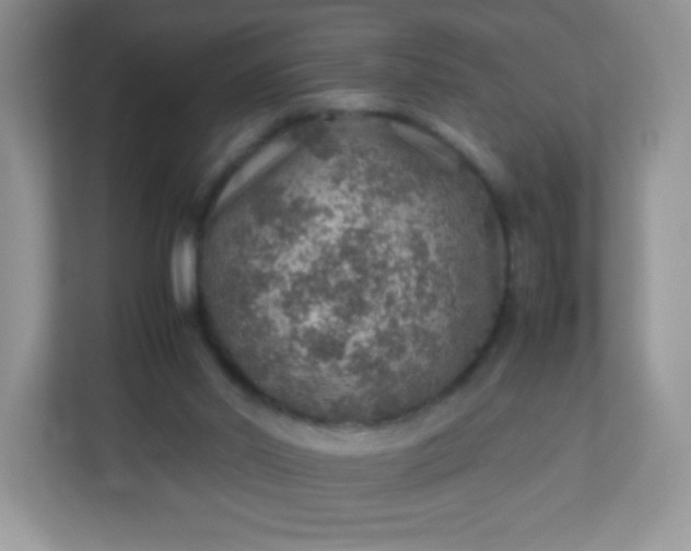 X0000113310014200909281134