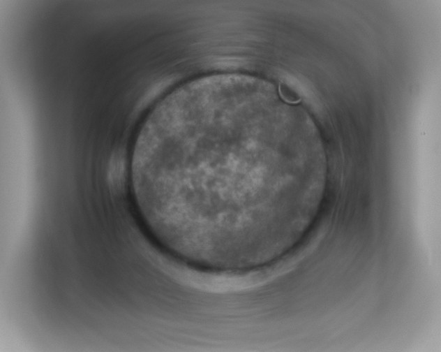 X0000113310016200909281133