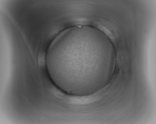 X0000113310017200909281133