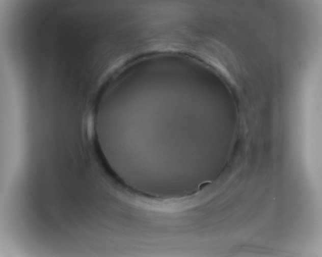 X0000113310019200909281133