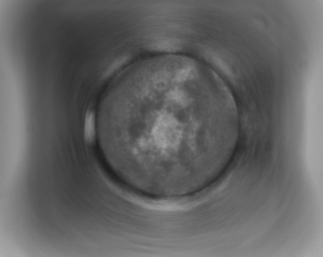 X0000113310020200909281133