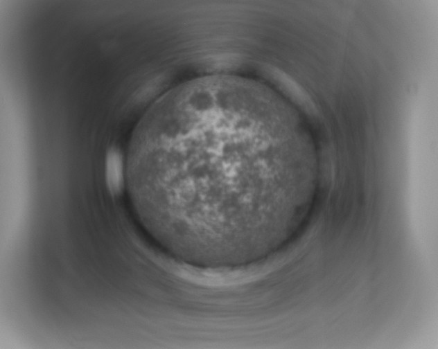 X0000113310022200909281133