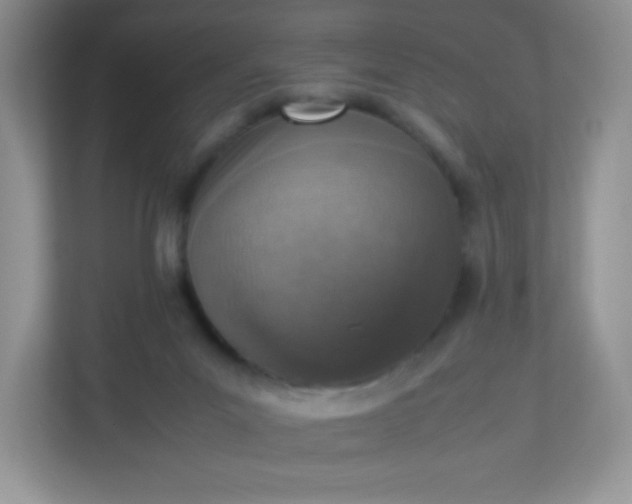 X0000113310023200909281133