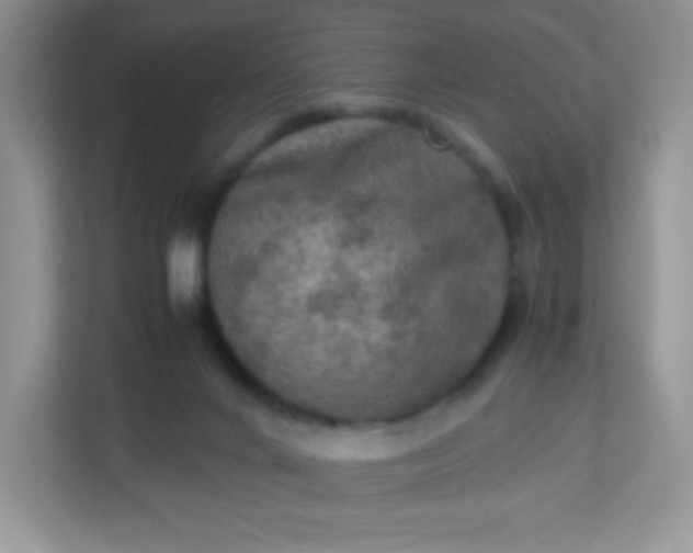 X0000113310024200909281133