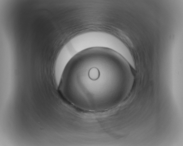 X0000113310025200909281133