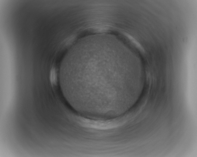 X0000113310026200909281133