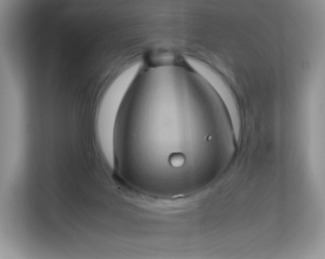 X0000113310027200909281133