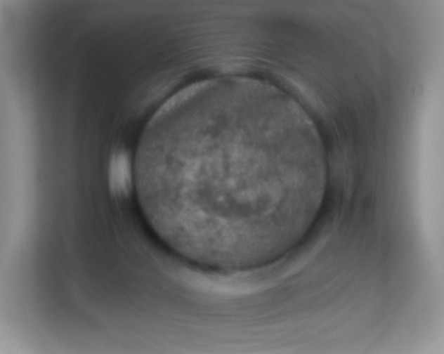 X0000113310028200909281133