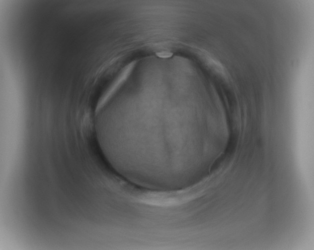 X0000113310029200909281133