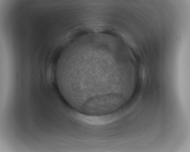 X0000113310030200909281133