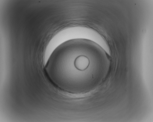 X0000113310031200909281133