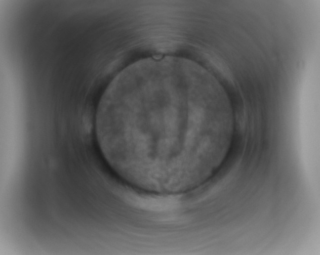 X0000113310032200909281133