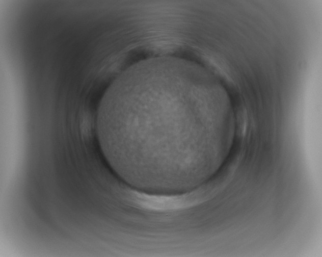 X0000113310034200909281133