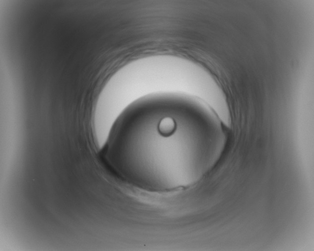 X0000113310035200909281133