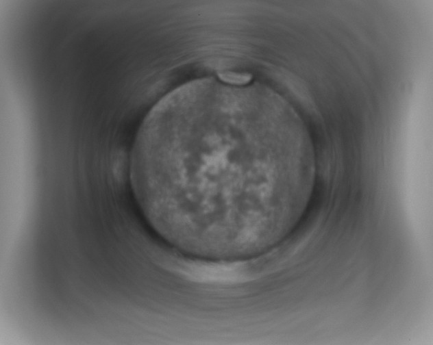 X0000113310036200909281133