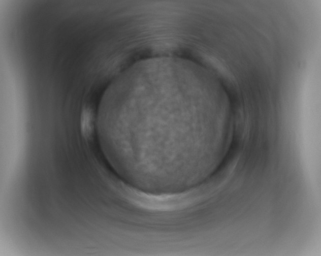 X0000113310038200909281133