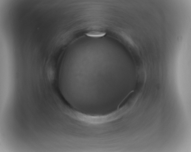 X0000113310039200909281133