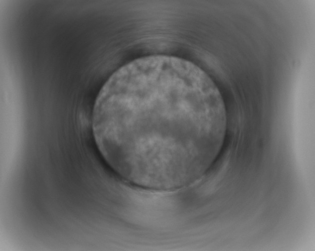 X0000113310040200909281133